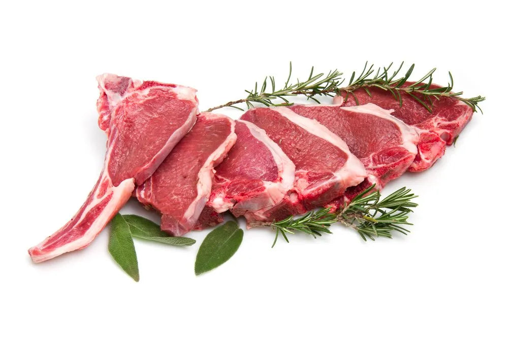 Lamb